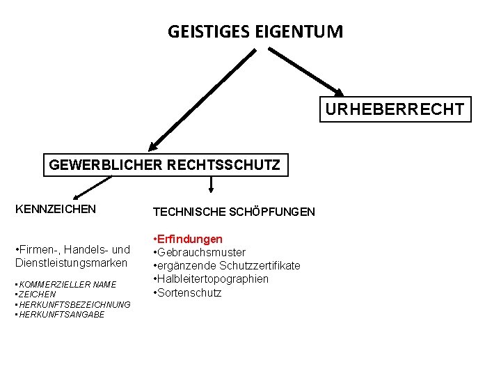 GEISTIGES EIGENTUM URHEBERRECHT GEWERBLICHER RECHTSSCHUTZ KENNZEICHEN • Firmen-, Handels- und Dienstleistungsmarken • KOMMERZIELLER NAME