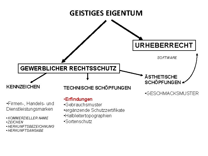 GEISTIGES EIGENTUM URHEBERRECHT SOFTWARE GEWERBLICHER RECHTSSCHUTZ KENNZEICHEN ÄSTHETISCHE SCHÖPFUNGEN TECHNISCHE SCHÖPFUNGEN • GESCHMACKSMUSTER •