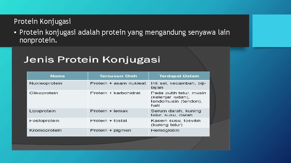 Protein Konjugasi • Protein konjugasi adalah protein yang mengandung senyawa lain nonprotein. 