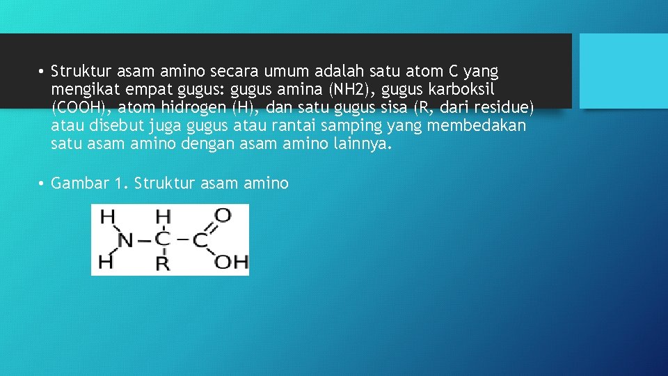  • Struktur asam amino secara umum adalah satu atom C yang mengikat empat