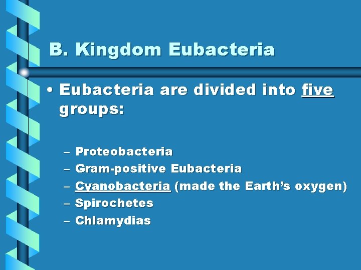 B. Kingdom Eubacteria • Eubacteria are divided into five groups: – – – Proteobacteria