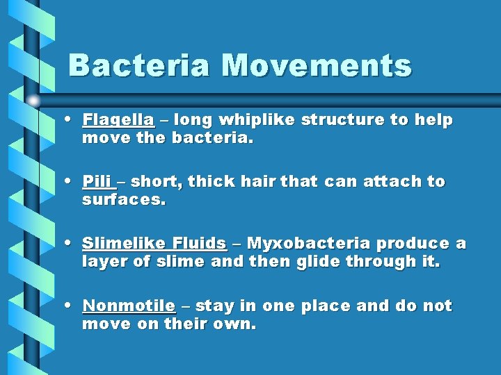 Bacteria Movements • Flagella – long whiplike structure to help move the bacteria. •