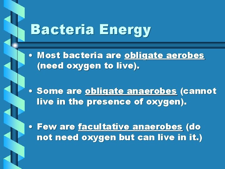 Bacteria Energy • Most bacteria are obligate aerobes (need oxygen to live). • Some