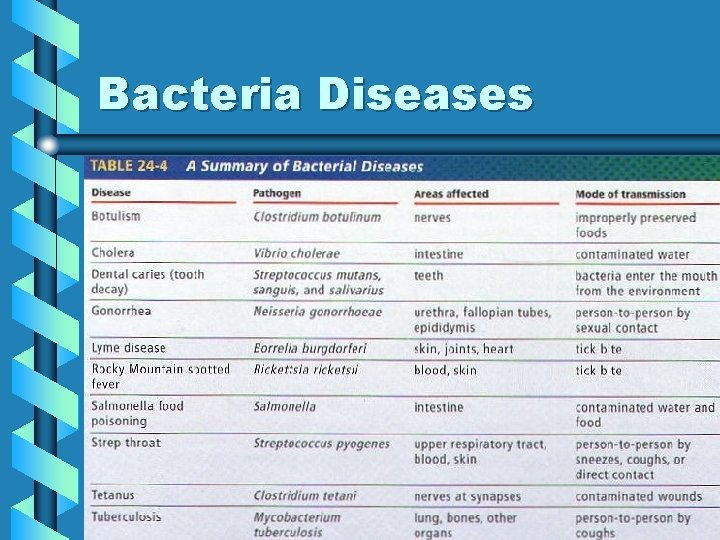 Bacteria Diseases 