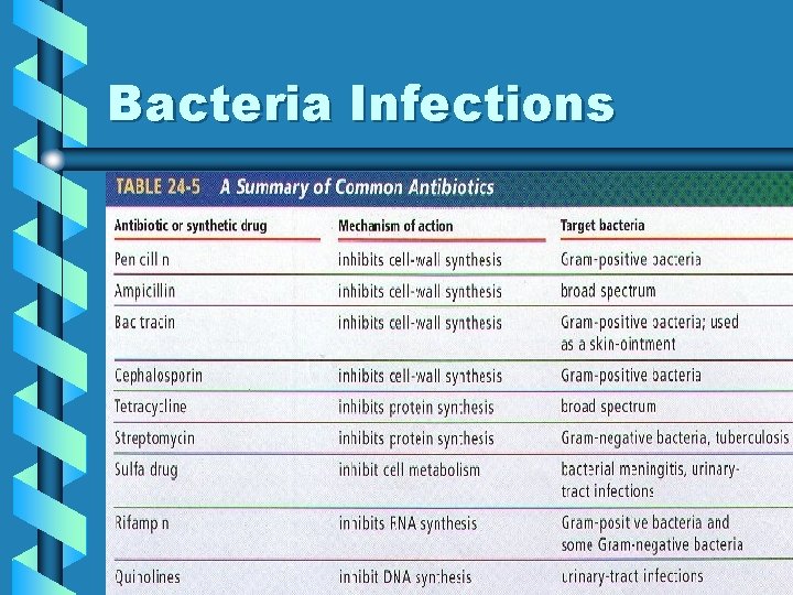 Bacteria Infections 