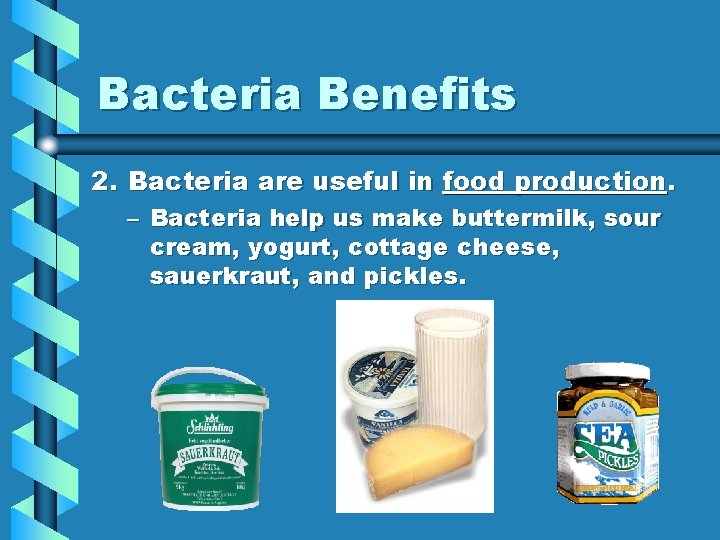 Bacteria Benefits 2. Bacteria are useful in food production. – Bacteria help us make