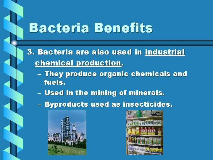 Bacteria Benefits 3. Bacteria are also used in industrial chemical production. – They produce