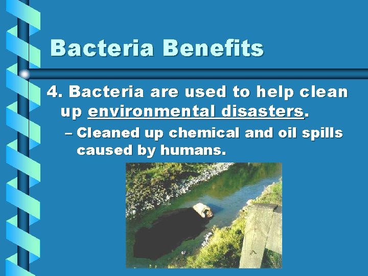 Bacteria Benefits 4. Bacteria are used to help clean up environmental disasters. – Cleaned