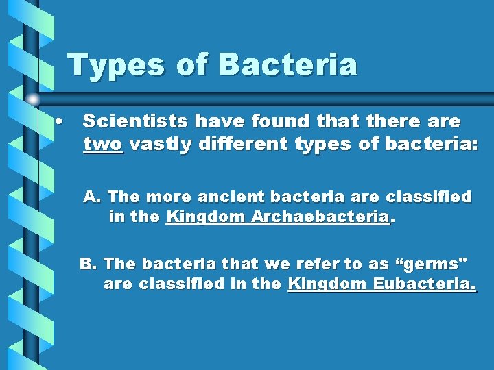 Types of Bacteria • Scientists have found that there are two vastly different types
