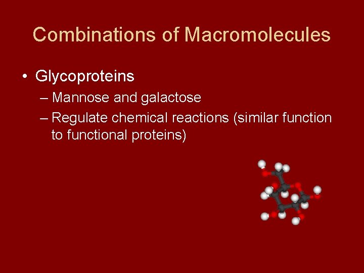 Combinations of Macromolecules • Glycoproteins – Mannose and galactose – Regulate chemical reactions (similar