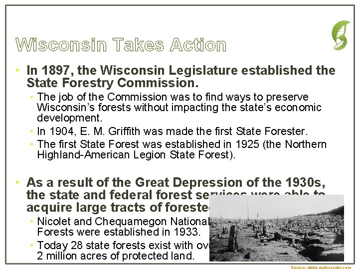 Wisconsin Takes Action • In 1897, the Wisconsin Legislature established the State Forestry Commission.