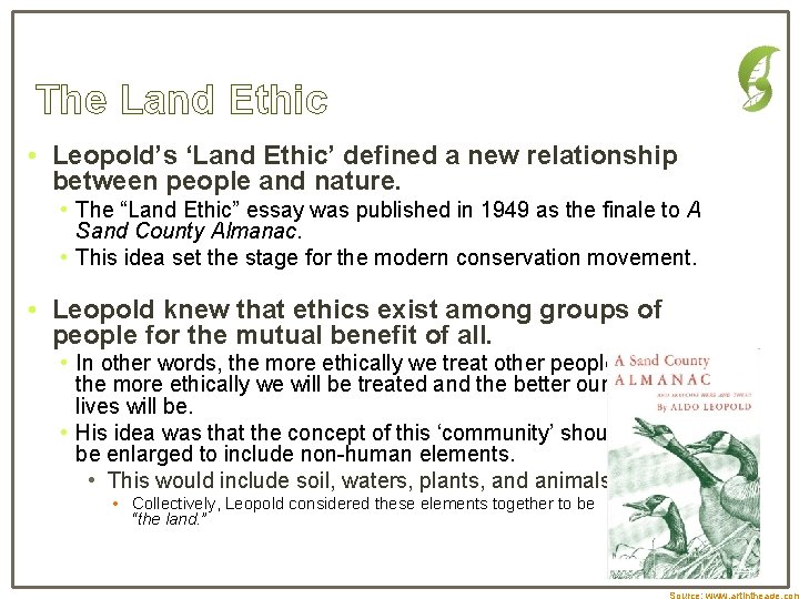 The Land Ethic • Leopold’s ‘Land Ethic’ defined a new relationship between people and