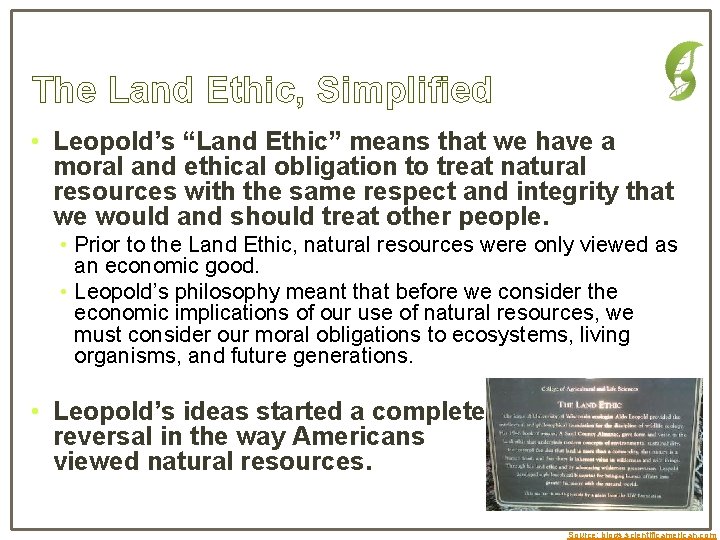 The Land Ethic, Simplified • Leopold’s “Land Ethic” means that we have a moral