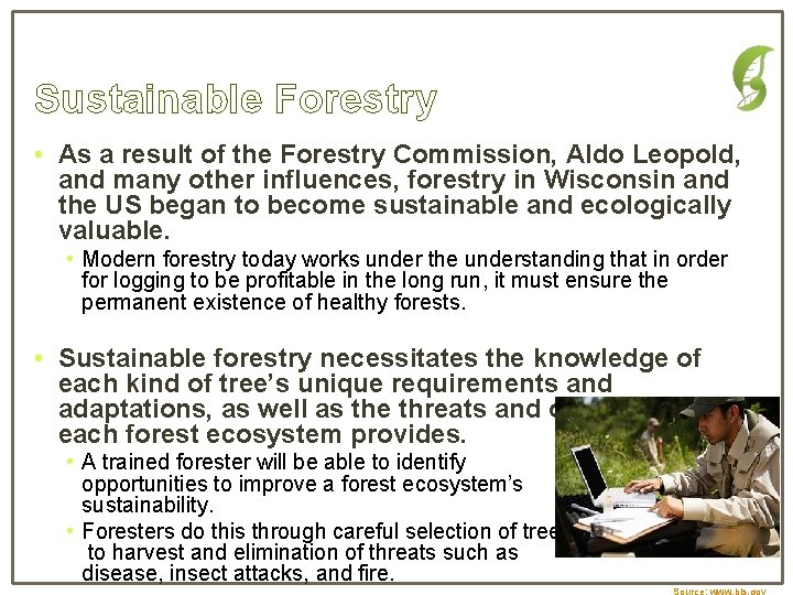 Sustainable Forestry • As a result of the Forestry Commission, Aldo Leopold, and many