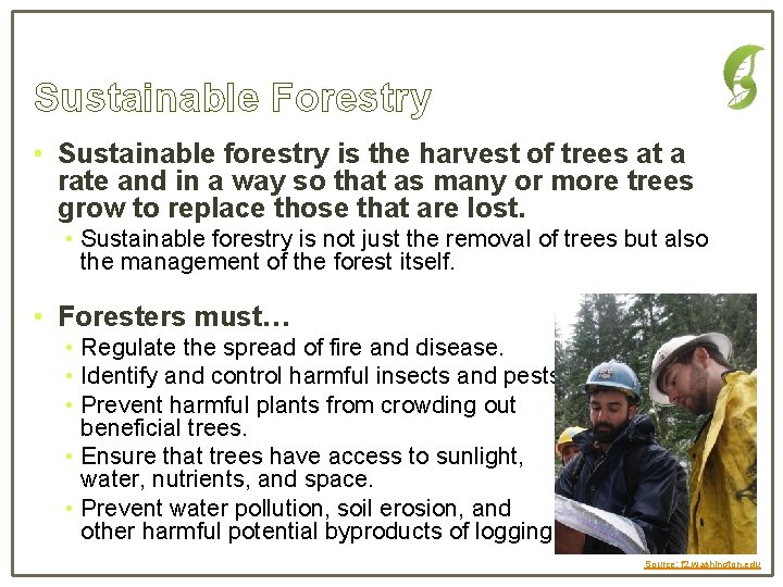 Sustainable Forestry • Sustainable forestry is the harvest of trees at a rate and