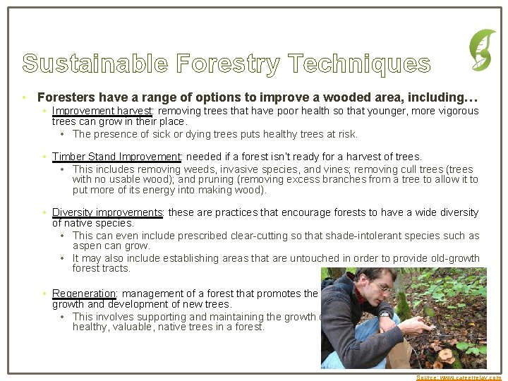 Sustainable Forestry Techniques • Foresters have a range of options to improve a wooded