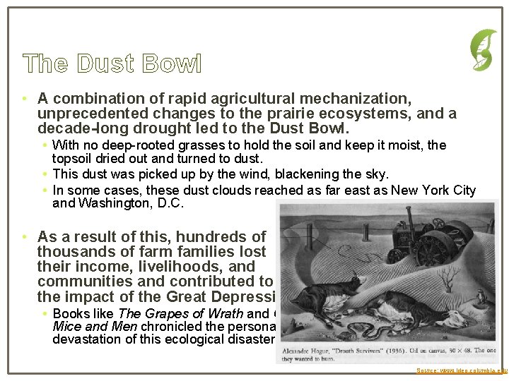 The Dust Bowl • A combination of rapid agricultural mechanization, unprecedented changes to the