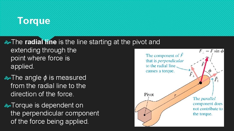 Torque The radial line is the line starting at the pivot and extending through