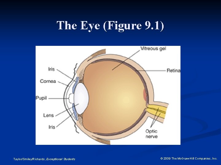 The Eye (Figure 9. 1) Taylor/Smiley/Richards, Exceptional Students © 2009 The Mc. Graw-Hill Companies,