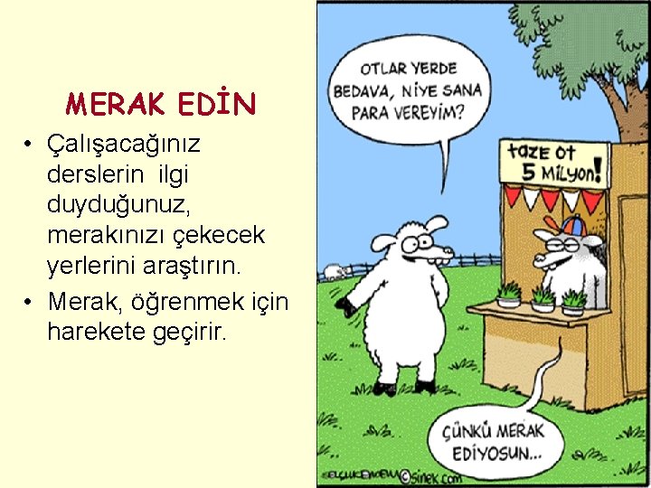 MERAK EDİN • Çalışacağınız derslerin ilgi duyduğunuz, merakınızı çekecek yerlerini araştırın. • Merak, öğrenmek