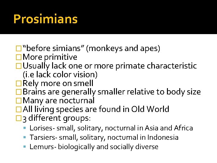 Prosimians �“before simians” (monkeys and apes) �More primitive �Usually lack one or more primate