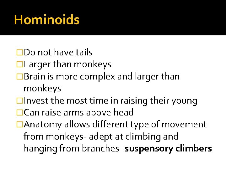 Hominoids �Do not have tails �Larger than monkeys �Brain is more complex and larger