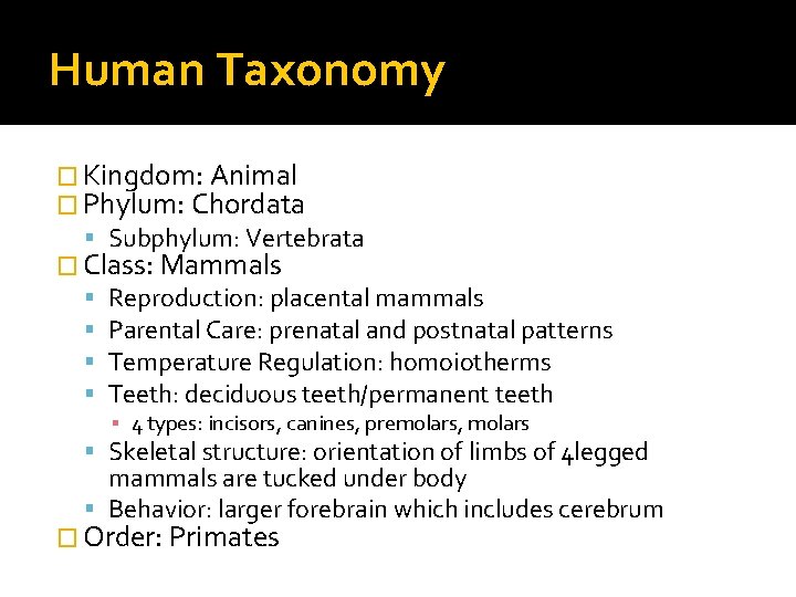 Human Taxonomy � Kingdom: Animal � Phylum: Chordata Subphylum: Vertebrata � Class: Mammals Reproduction: