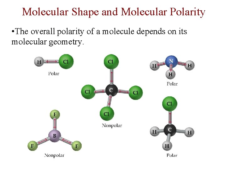 Molecular Shape and Molecular Polarity • The overall polarity of a molecule depends on
