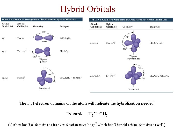 Hybrid Orbitals The # of electron domains on the atom will indicate the hybridization