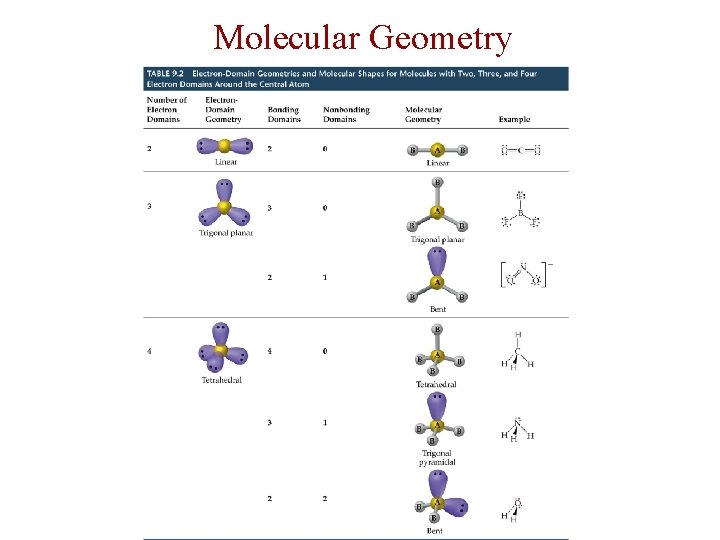 Molecular Geometry 