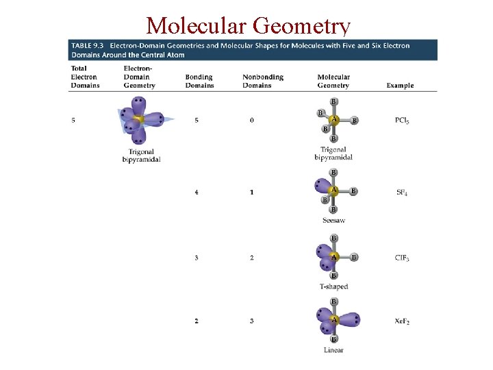 Molecular Geometry 