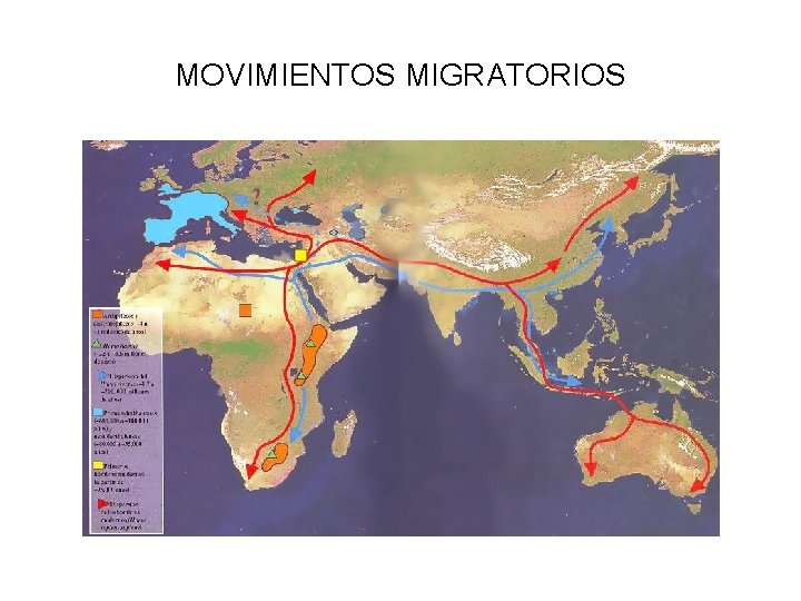 MOVIMIENTOS MIGRATORIOS 