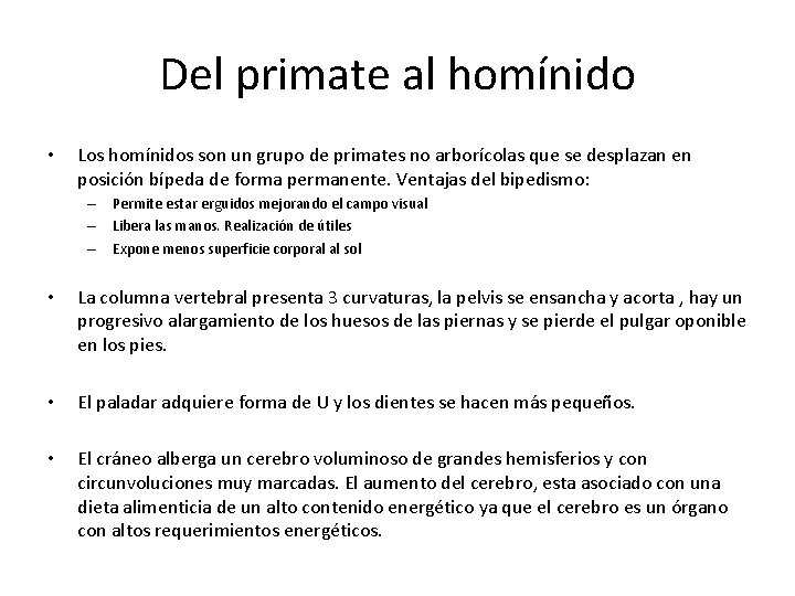 Del primate al homínido • Los homínidos son un grupo de primates no arborícolas