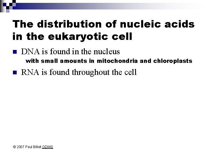 The distribution of nucleic acids in the eukaryotic cell n DNA is found in