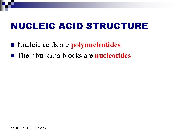 NUCLEIC ACID STRUCTURE n n Nucleic acids are polynucleotides Their building blocks are nucleotides