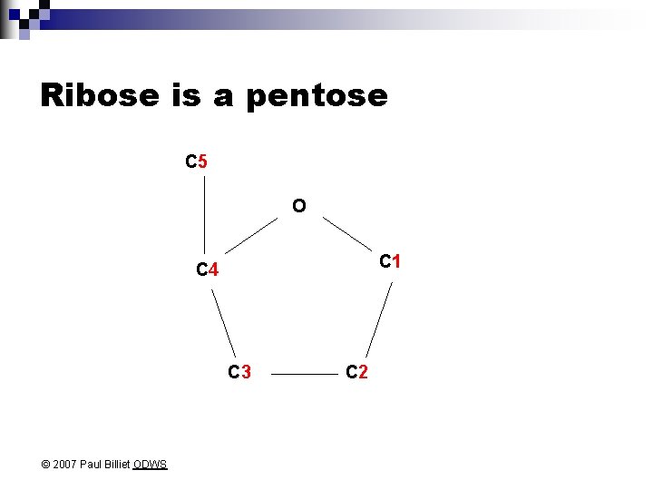 Ribose is a pentose C 5 O C 1 C 4 C 3 ©