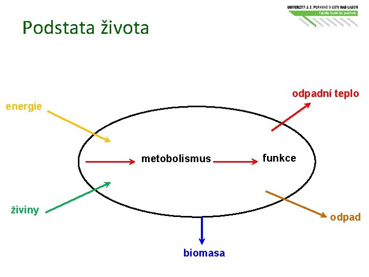 Podstata života odpadní teplo energie metobolismus živiny funkce odpad biomasa 