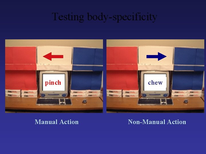 Testing body-specificity pinch Manual Action chew Non-Manual Action 