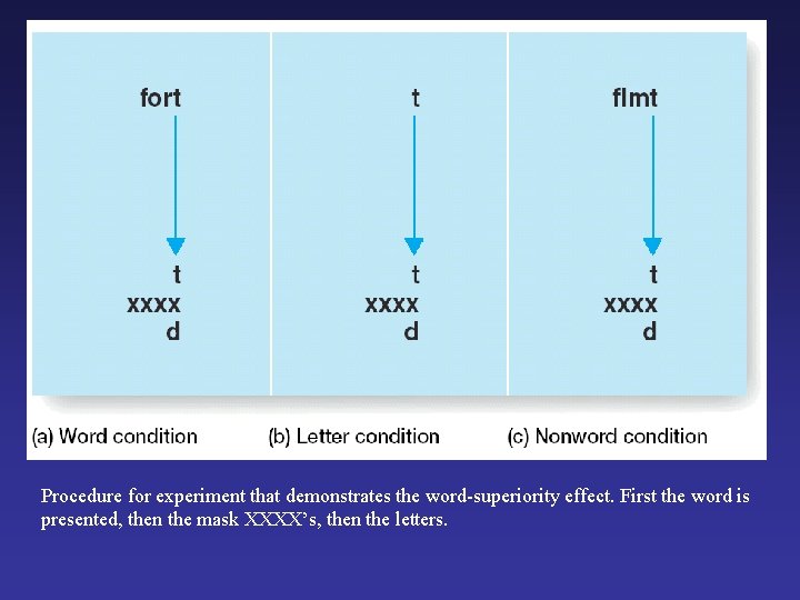 Procedure for experiment that demonstrates the word-superiority effect. First the word is presented, then