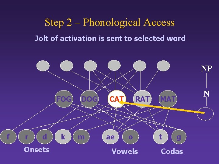 Step 2 – Phonological Access Jolt of activation is sent to selected word NP