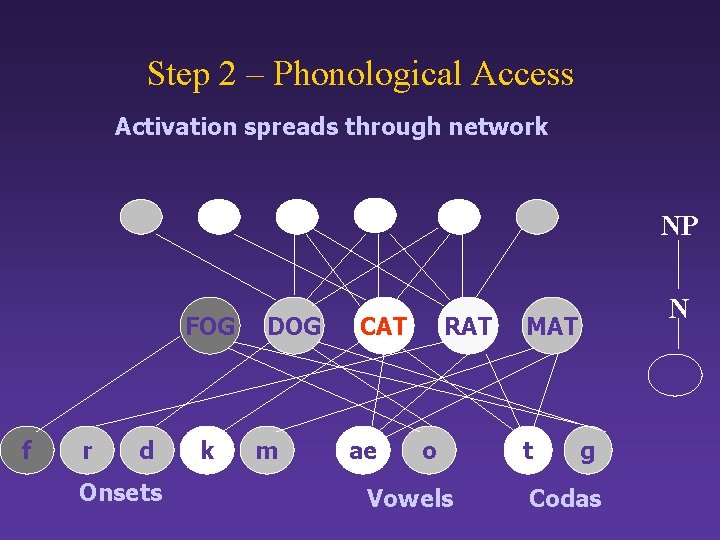 Step 2 – Phonological Access Activation spreads through network NP FOG f r d