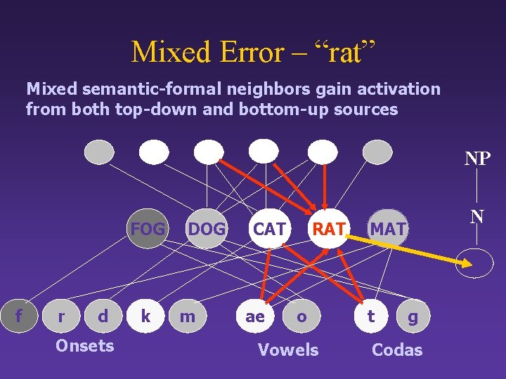 Mixed Error – “rat” Mixed semantic-formal neighbors gain activation from both top-down and bottom-up