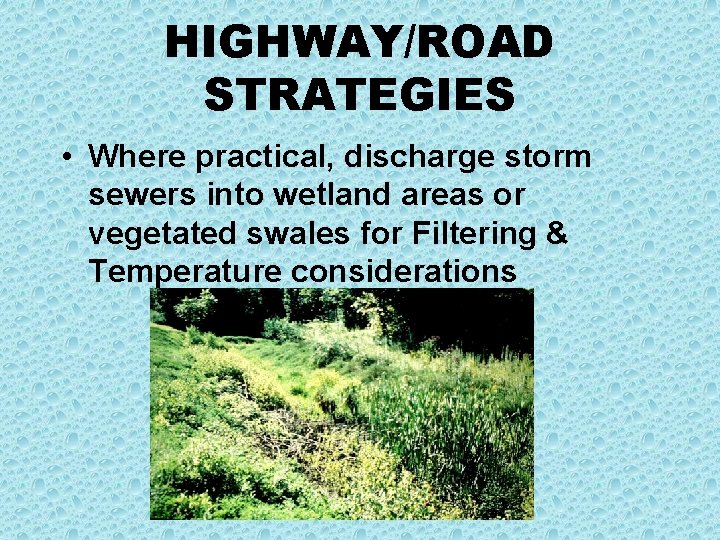 HIGHWAY/ROAD STRATEGIES • Where practical, discharge storm sewers into wetland areas or vegetated swales