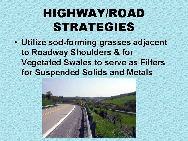HIGHWAY/ROAD STRATEGIES • Utilize sod-forming grasses adjacent to Roadway Shoulders & for Vegetated Swales