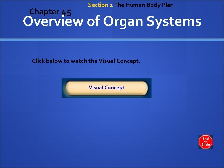 Chapter 45 Section 1 The Human Body Plan Overview of Organ Systems Click below