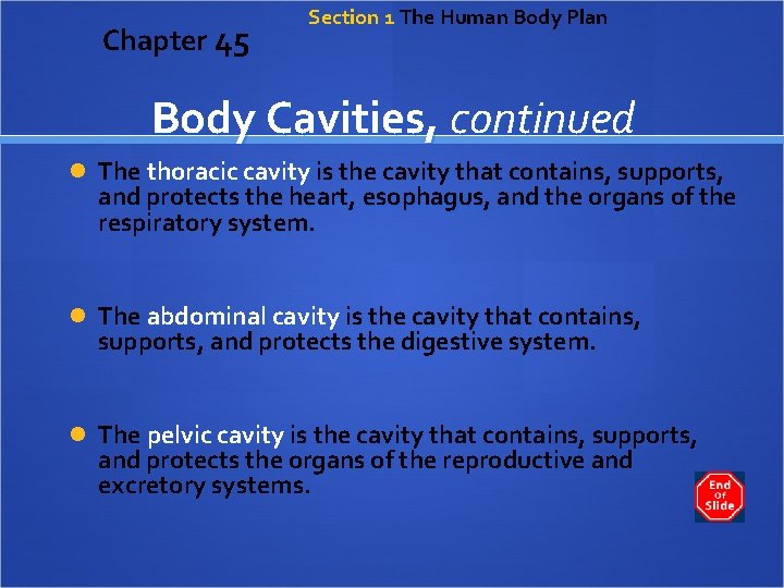 Chapter 45 Section 1 The Human Body Plan Body Cavities, continued The thoracic cavity