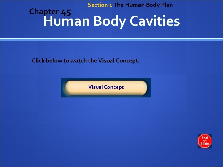 Chapter 45 Section 1 The Human Body Plan Human Body Cavities Click below to