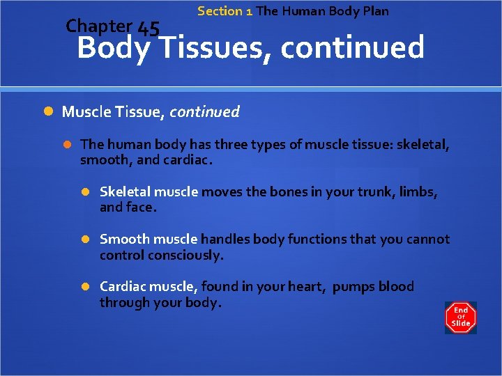 Chapter 45 Section 1 The Human Body Plan Body Tissues, continued Muscle Tissue, continued