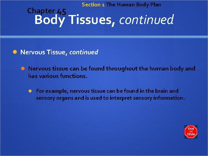 Chapter 45 Section 1 The Human Body Plan Body Tissues, continued Nervous Tissue, continued