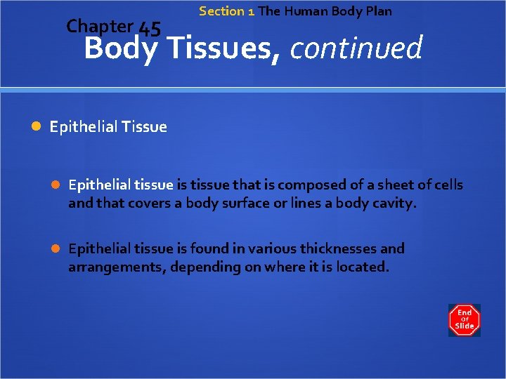 Chapter 45 Section 1 The Human Body Plan Body Tissues, continued Epithelial Tissue Epithelial